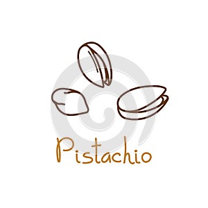 Pistachio, pistache hand drawn graphics element for packaging design of nuts and seeds or snack. Vector illustration in