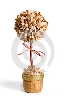 Pistachio shell topiary over white background