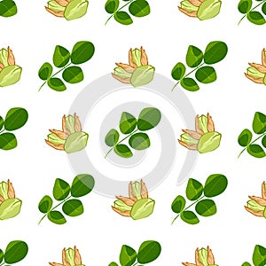 Pistachio texture nuts seamless pattern ruit nutrition organic vegetarian pistachionuts appetizer vector illustration