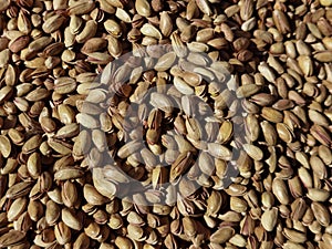 Pistachios in bulk but isolated