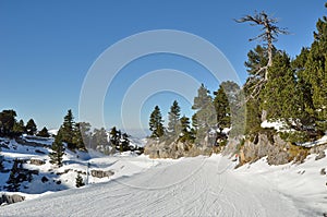 Piste in the ski resort Pierre Saint Martin