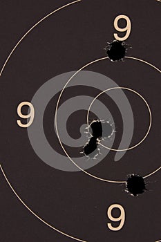 Pistol 25 meter target