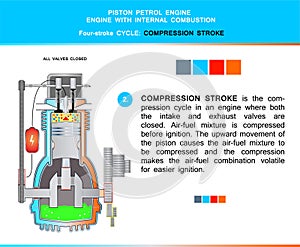 Piston engine four stroke cycle in structural cross section for education