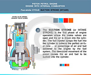 Piston engine petrol four stroke cycle in structural cross section for education