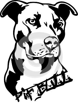 Pit bull dog illustration photo