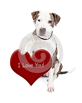 Pit Bull Dog Love You Heart