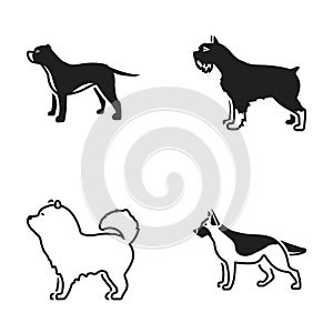 Pit bull, german shepherd, chow chow, schnauzer. Dog breeds set collection icons in black style vector symbol stock