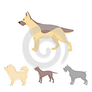 Pit bull, german shepherd, chow chow, schnauzer. Dog breeds set collection icons in cartoon style vector symbol stock