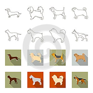 Pit bull, german shepherd, chow chow, schnauzer. Dog breeds set collection icons in outline,flet style vector symbol