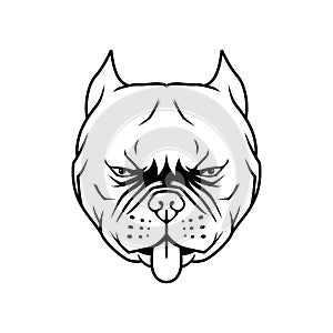 Pit bull head illustration, dog head vector