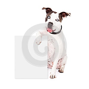 Pit Bull Holding Blank Sign