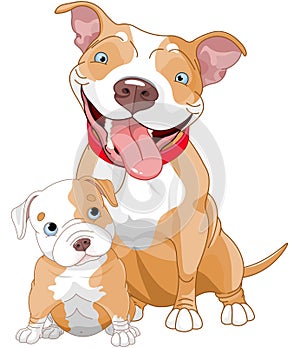 Pit-bull mother and cub