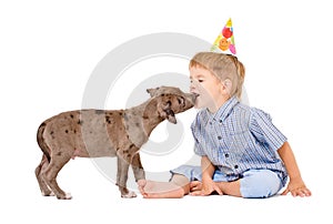 Pit bull puppy kisses the boy