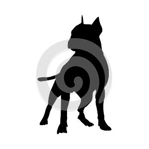 Pit Bull Terrier Dog Silhouette