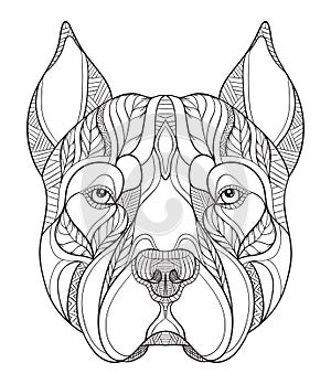 Pit bull terrier head zentangle, doodle stylized, vector, illustration, freehand pencil, hand drawn, pattern. Zen art. Ornate photo