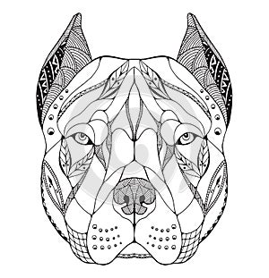 Pit bull terrier head zentangle stylized, vector, illustration