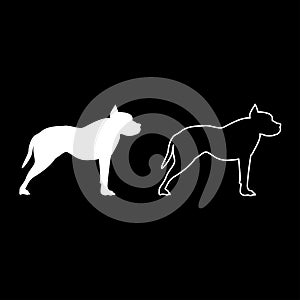Pit bull terrier icon set white color illustration flat style simple image