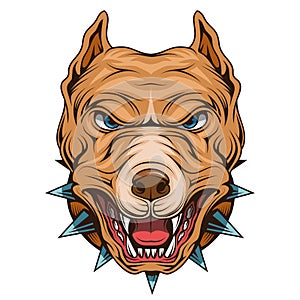 Pit bull. Vector illustration of a angry pitbull head mascot. Pet animal