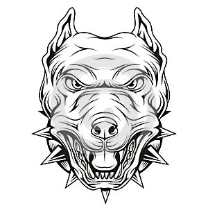 Pit bull. Vector illustration of a sketch angry pitbull head mascot. Pet animal