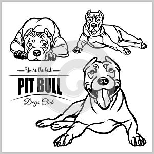 Pit Bull - vector set isolated illustration on white background