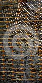 Pit delimitation net