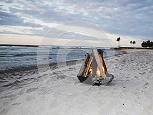 Pit Fire on a Beautiful Beach in Mexico