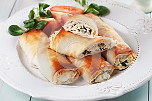 Pita zeljanica, balkans phyllo pastry photo