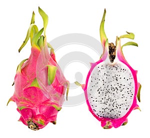 Pitahaya dragon fruit