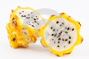 Pitahaya Selenicereus megalanthus