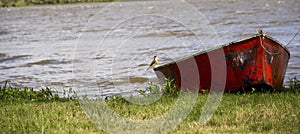 Canoe and bird on the river photo