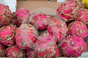 Pitaya or dragon fruit for sale at city market