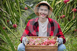 Pitaya fruit farmer