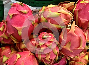 pitaya or pitahaya