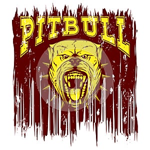 Pitbull