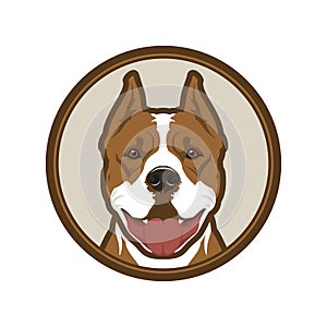 Pitbull boxer dog head mascot in circle