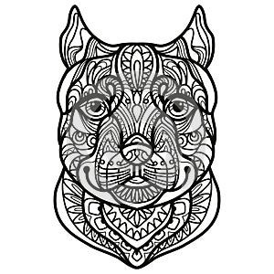 Pitbull dog head coloring book page vector illustration