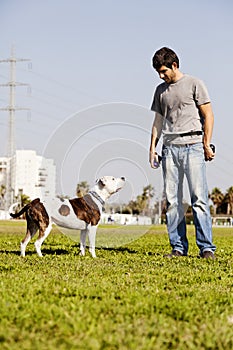 Pitbull and Dog Owner