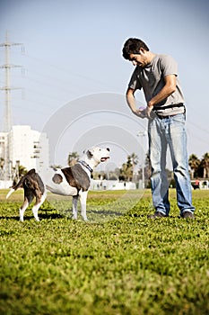 Pitbull and Dog Owner