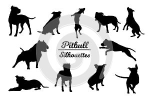 Pitbull dog silhouettes.