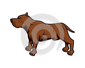 Pitbull Dog with Standing Gesture Illustration