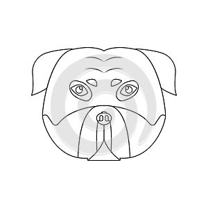 Pitbull face icon. Element of dog for mobile concept and web apps icon. Outline, thin line icon for website design and development