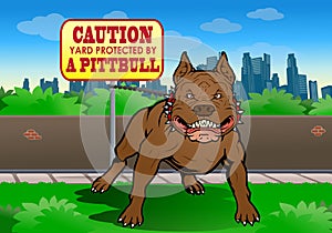 Pitbull guard the yard