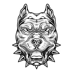 Pitbull head in black and white color style