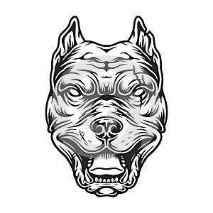 Pitbull head in black and white color style