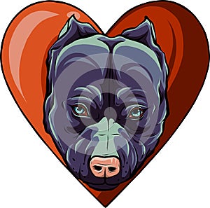 pitbull head dog in heart vector illustration