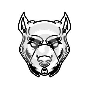 Pitbull head illustration in engraving style. Design element for logo, label, sign, poster, t shirt