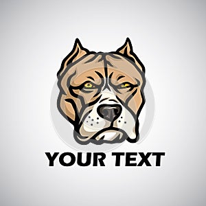 Pitbull Head Logo. Vector Illustration