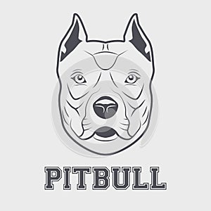 Pitbull head mascot