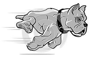 Pitbull Lunging, Side View Shadowed Illustration