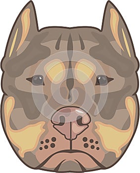 Pitbull vector